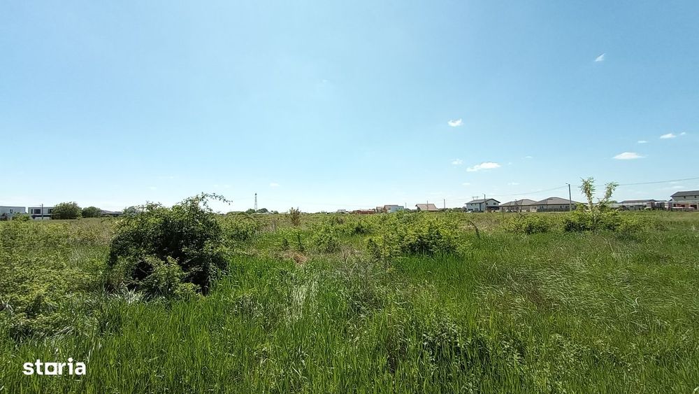 Teren construcții Moșnița Nouă 2260mp