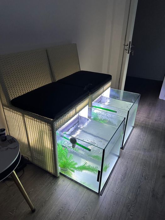 Acvarii speciale pentru pedichiura spa