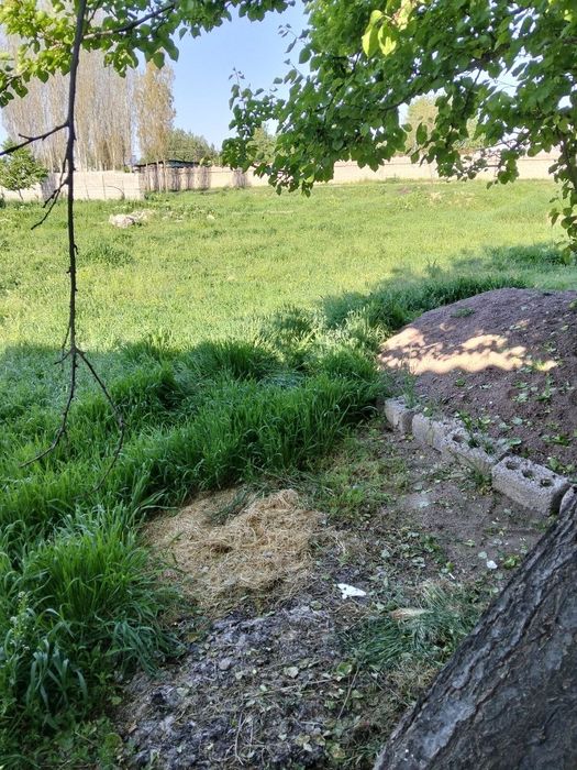 Участка сотилади 4 сотих