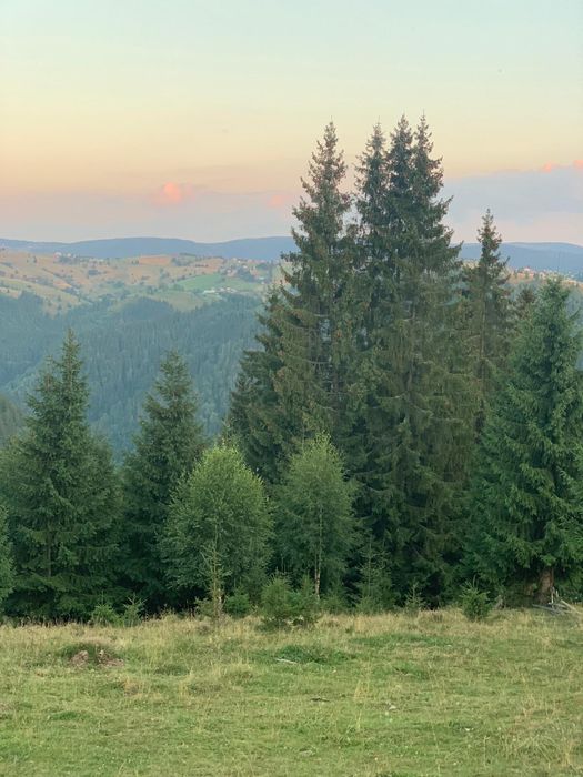 Vand teren Marisel Cluj