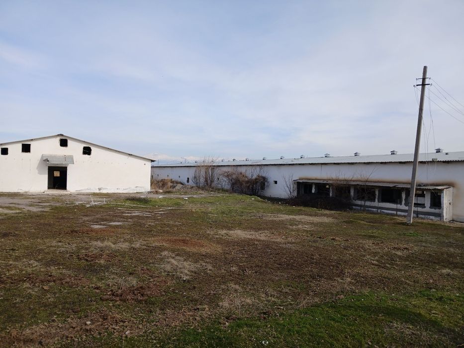 Выкуп. Срочно. 12 ГА территории