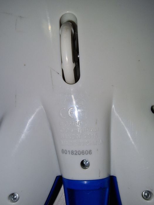 Pisica de mare disney dory film