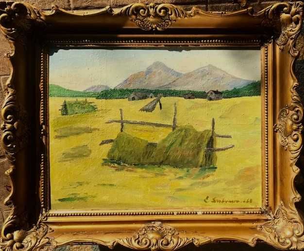 Scoala maghiara. U/pz 50 cu 35 cm +r . "COLIBE"