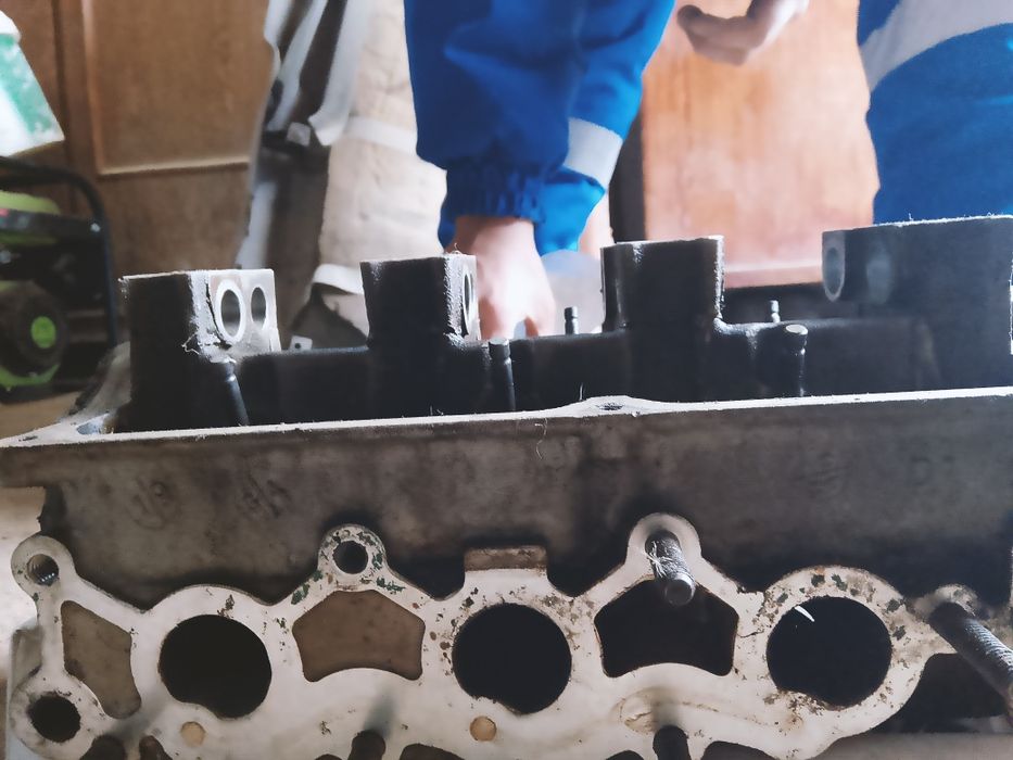 Галовка тико.         .