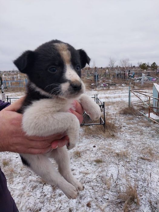 SOS! Малыши замерзают
