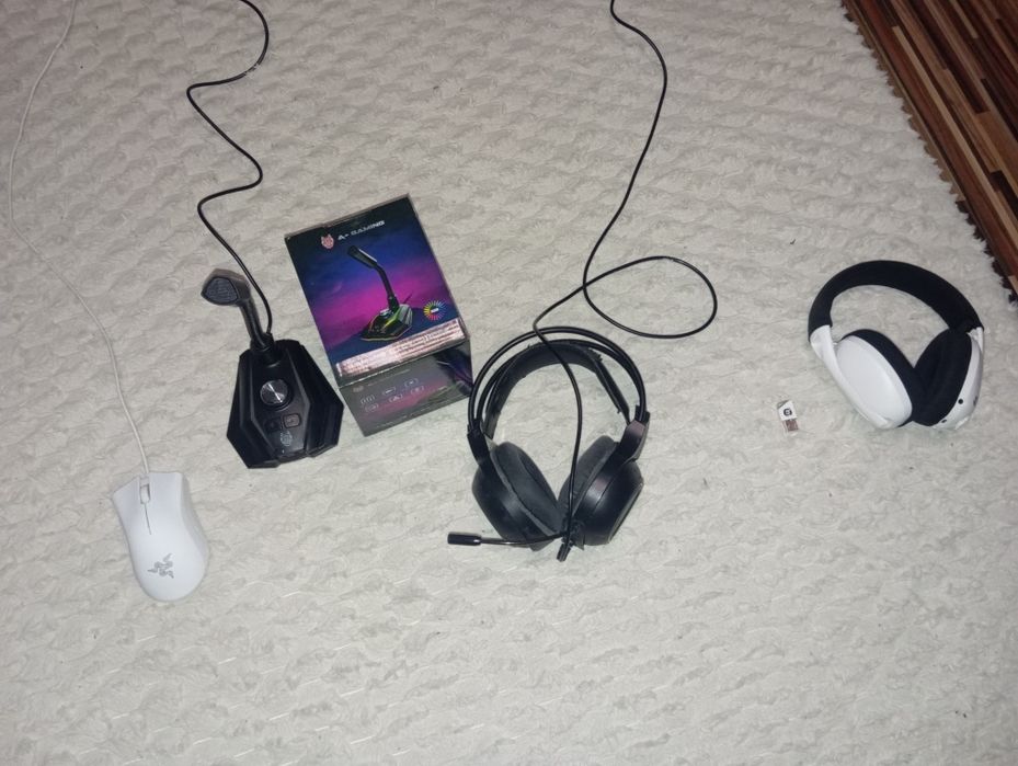 Casti,microfon,mouse