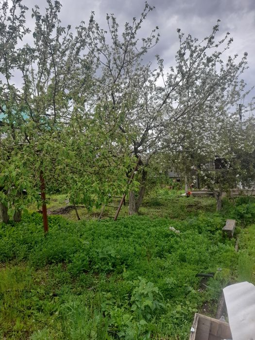 Продам дачу с/оЧерёмушки