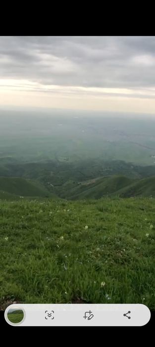 Продается земля .Жайляу 250га