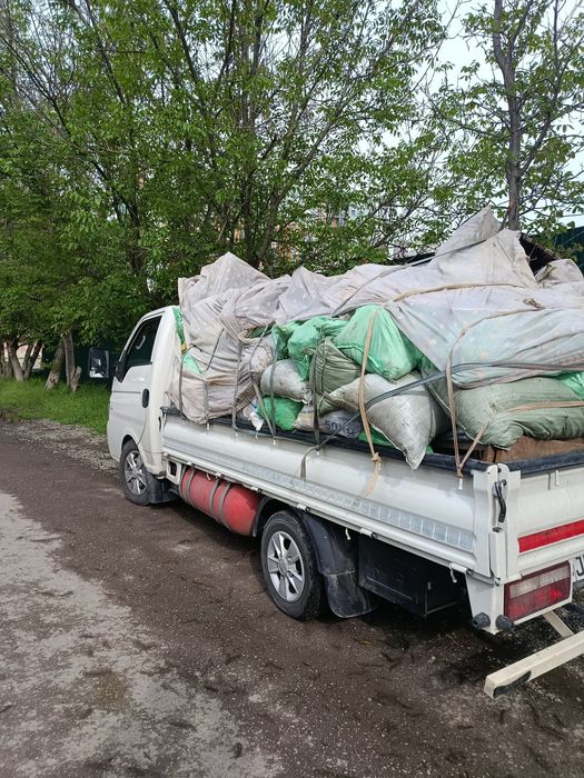Вівоз мусир  stromy musir