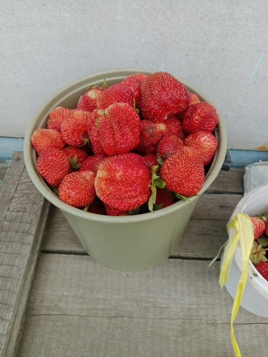 Продам дачу, с/о Эврика