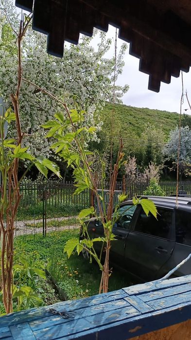 Продам дачу год после ремонта