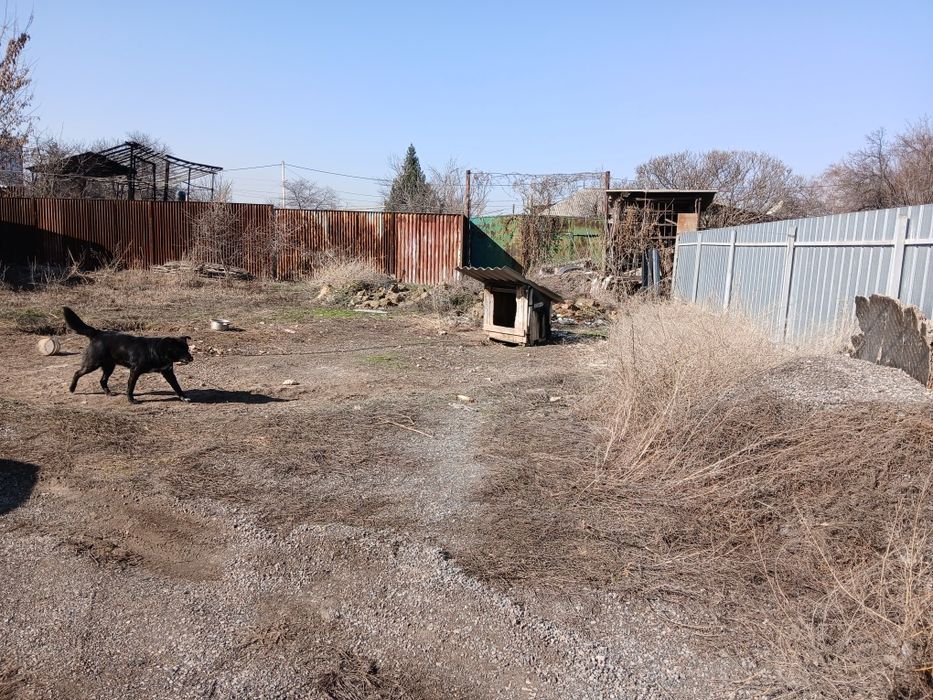 Продам пол  дома в бурундае