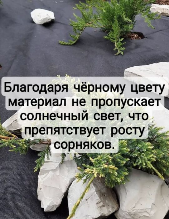 Укрывной материал Спанбонд.