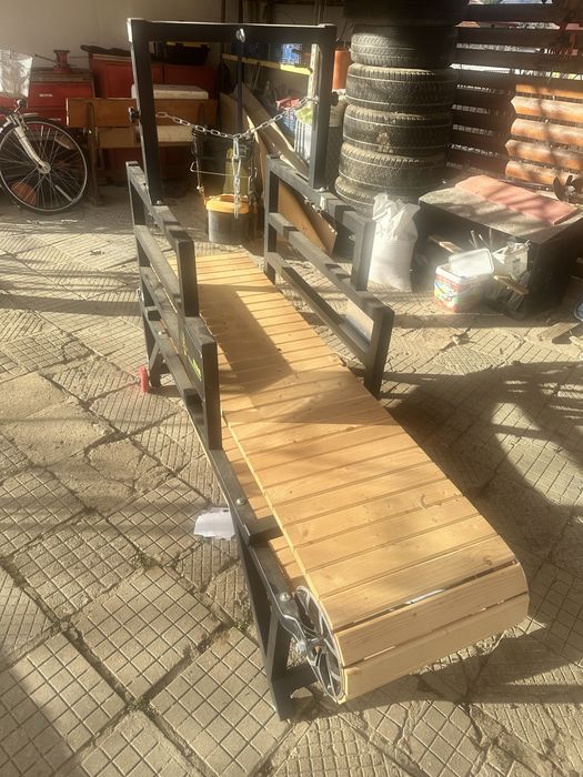 Професионална пътека за кучета