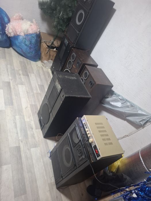 Калонки  домашние