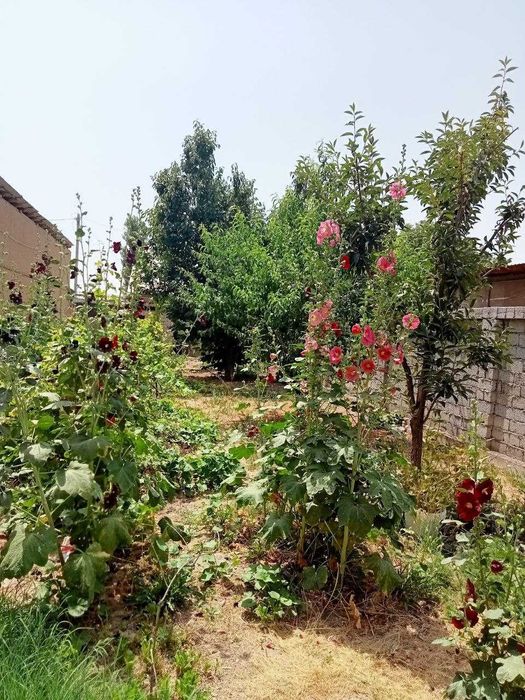 Срочно продаётся дом 4 комнаты 4 сотки