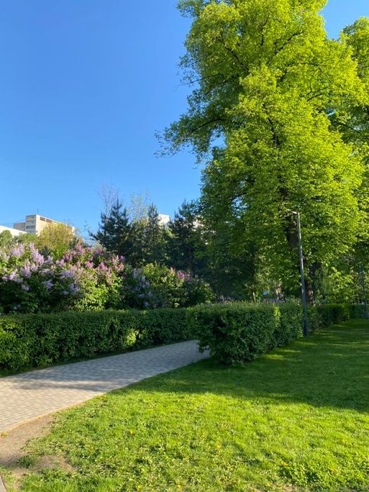 Садовник Специалист по газонам и автополив для газона