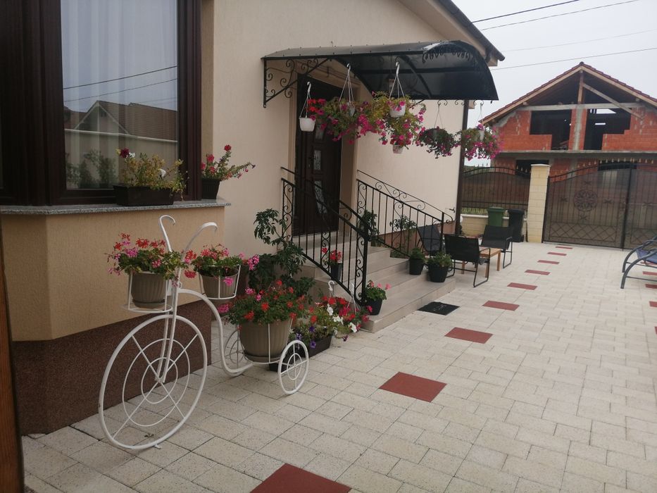 Vila de închiriat pe termin lung