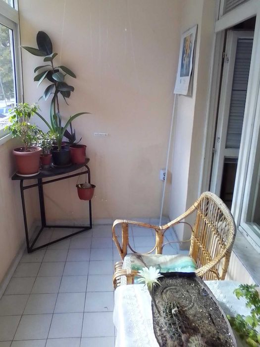 Четиристаен апартамент 300000 евро, ВИНС, Спортна зала