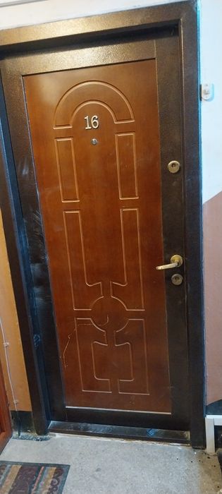 Usa metalica intrare