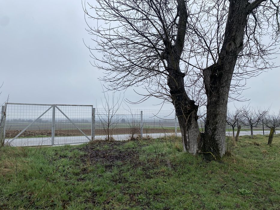 Vand teren intravilan Comana de Jos jud Brasov