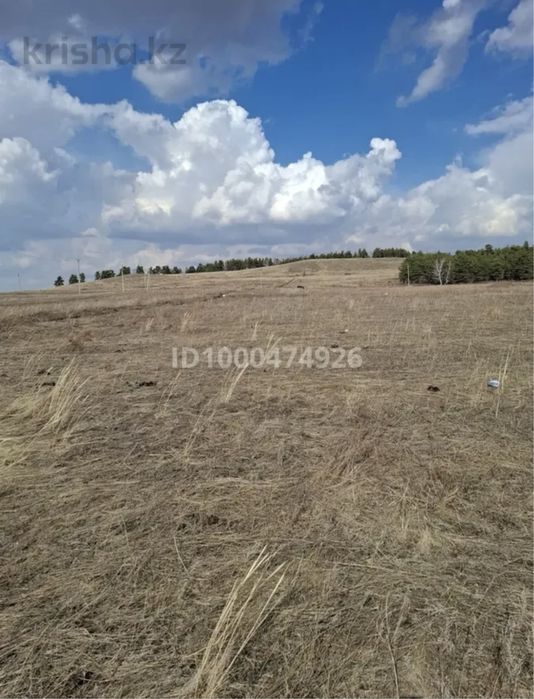 Срочно продам участок 12 соток
