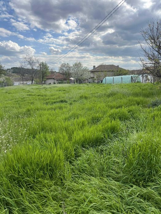 Парцел с къща 1489 кв.м с. Памукчии, обл. Шумен