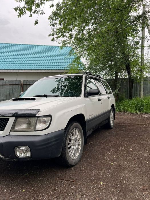 Subaru forester.