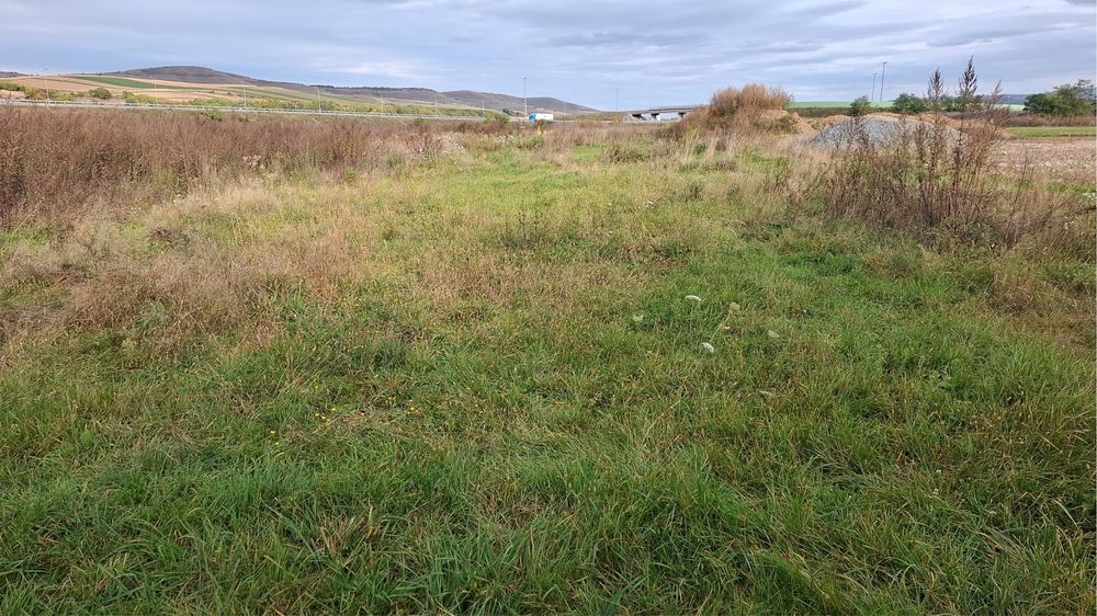 Teren intravilan Gilau, Braniste, 700 m2