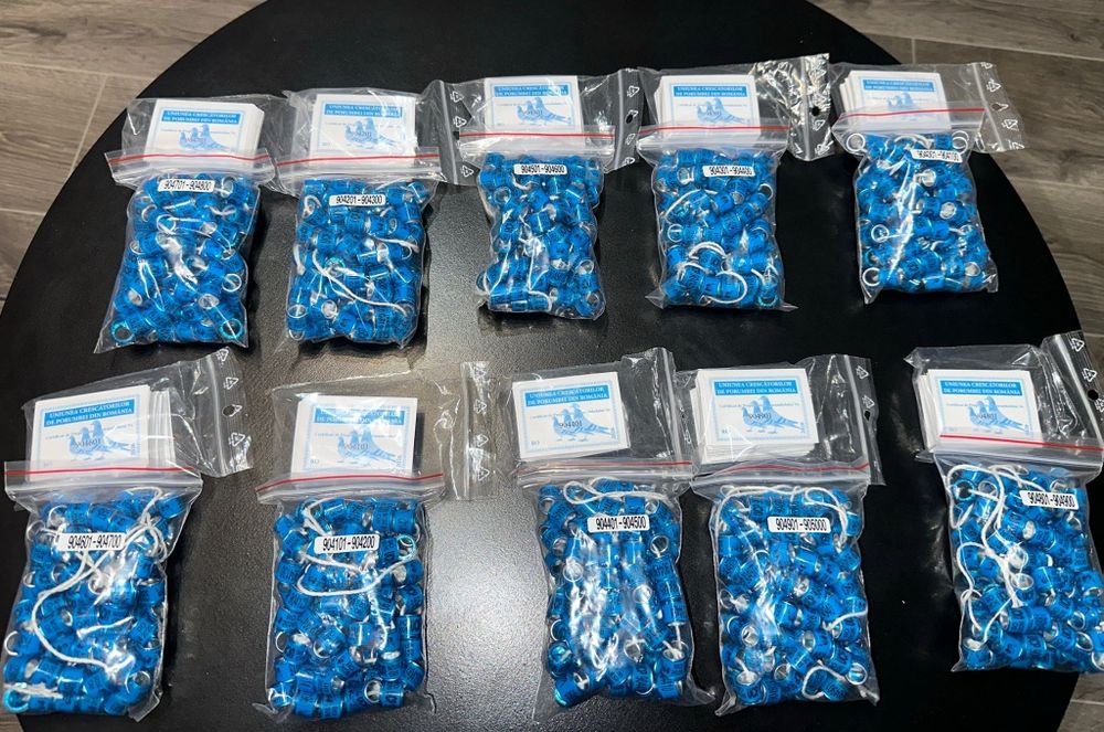 Inele porumbei 2026 cu talon!