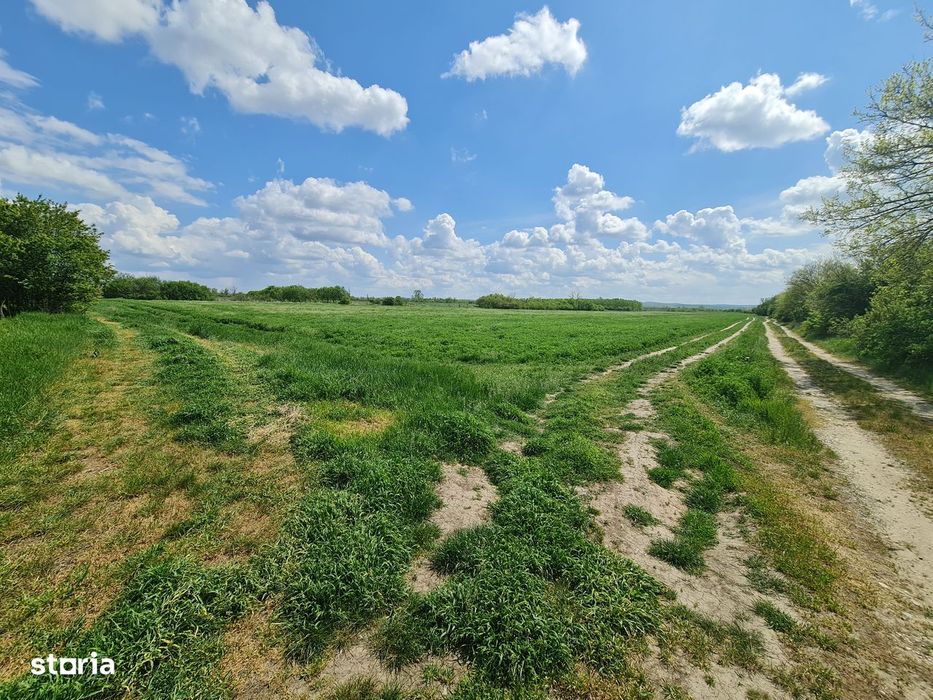 Vand Teren Agricol 200 Hectare în Județul Arad