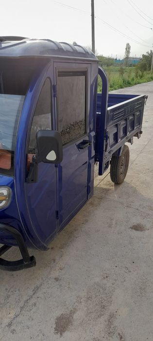 Elekti murave 1 tonalik