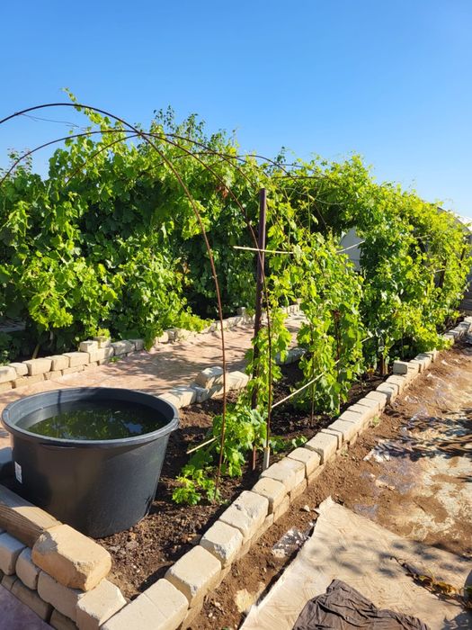 Продам дачу на Саздинском водохранилище