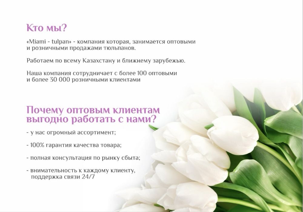Тюльпаны ОПТОМ от 395тг‼️‼️‼️