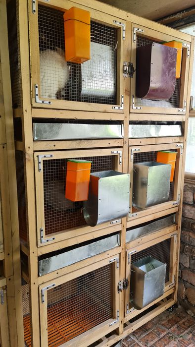 Продается мини ферма