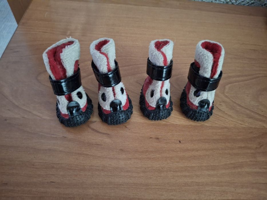 Одежда для маленьких собак