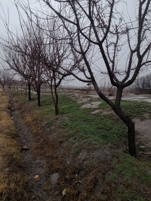 Уй куриш учун уй жой сотилади