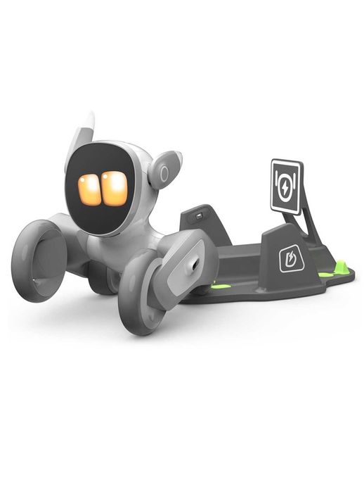 Robot Loona, interactiune inteligenta Chat GPT, recunoastere faciala