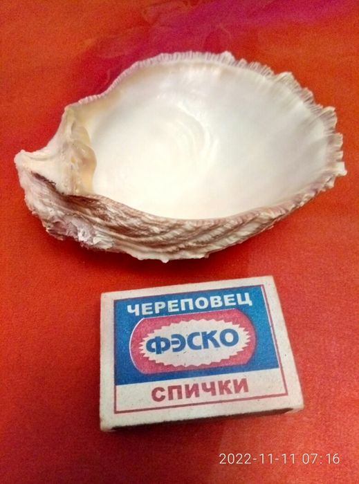 Редкие симпатичные вещи