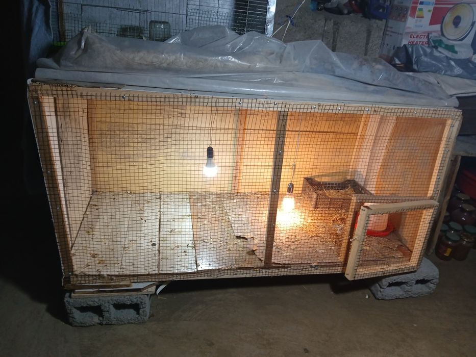 Katag sotladi 20000 bulshi