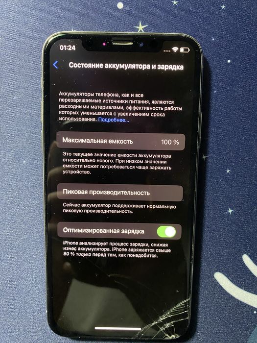 IPhone X 256GB [100%]