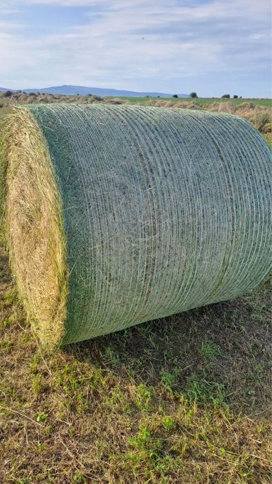 Vând baloți lucernă și coceni