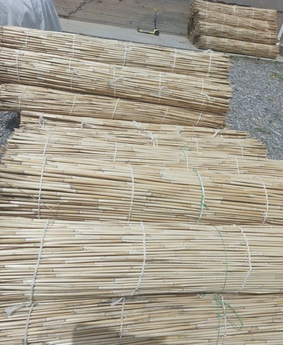 Қамыс    Камыс  .