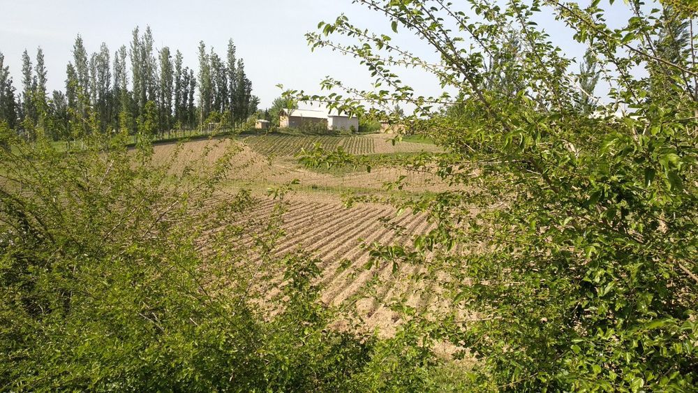 Ohongaronda shaharga yaqin joyda ajoyib yer sotiladi kelishimiz narxin