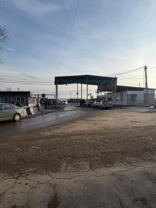 Промбаза Узынагаш