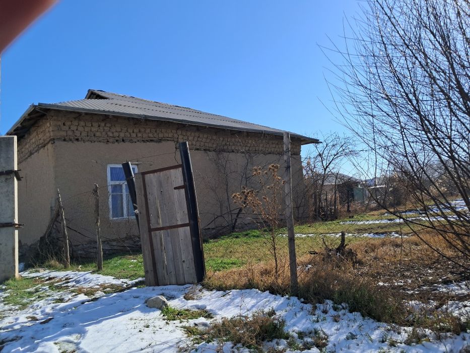 Juvoy maxala nurobad tuman sharq yulduzi dala bog'  maxala