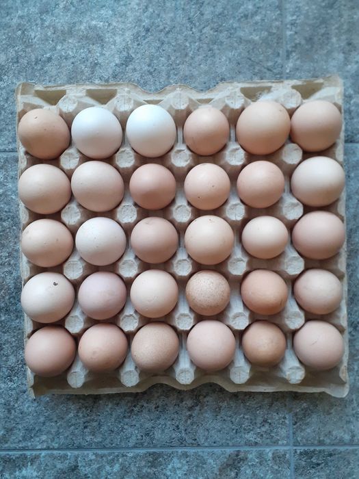 Oua de gaina proaspete