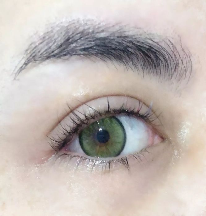 Цветни лещи едногодишни