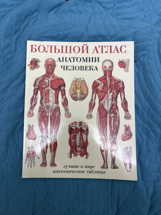Атлас Анатомии человека
