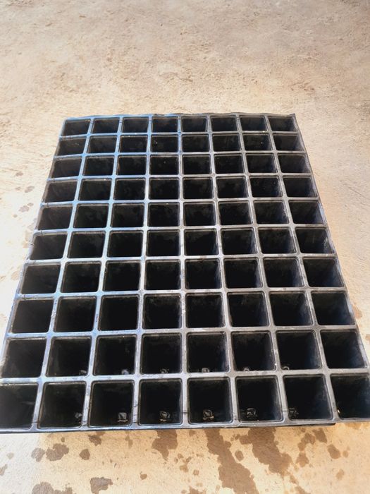 Kaseta ko'chatga bir marotaba foydalanilgan